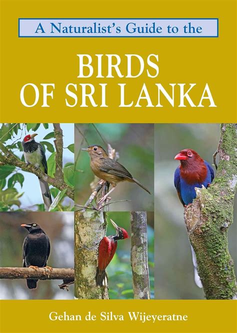 a naturalists guide to the birds of sri lanka naturalists guides Kindle Editon