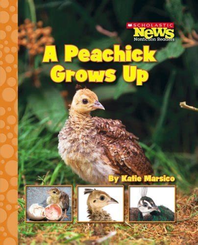 a peachick grows up scholastic news nonfiction readers life cycles Kindle Editon