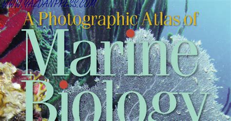 a photographic atlas of marine biology Reader
