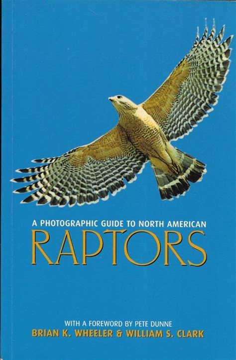 a photographic guide to north american raptors PDF
