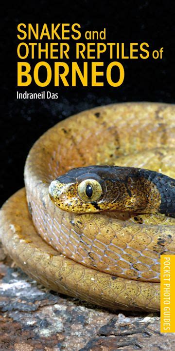 a photographic guide to snakes and other reptiles of borneo Kindle Editon