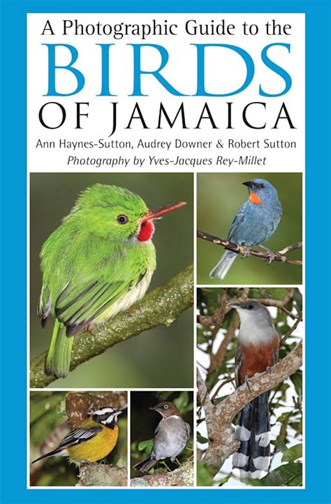 a photographic guide to the birds of jamaica Epub