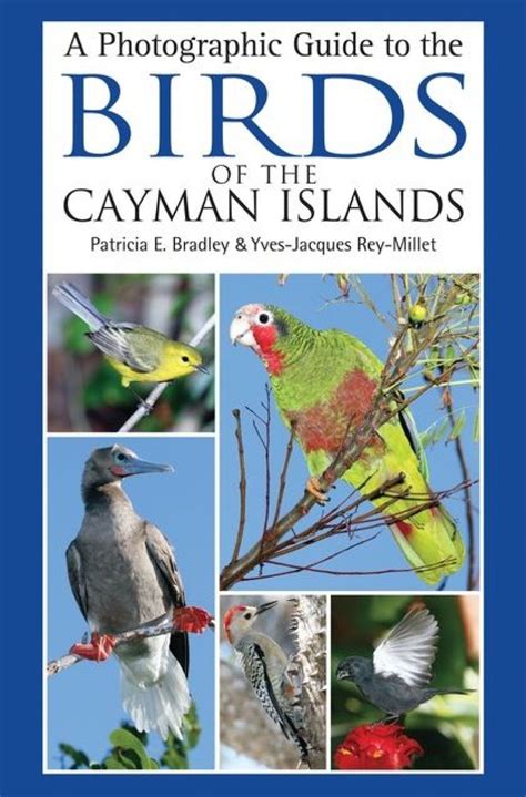 a photographic guide to the birds of the cayman islands PDF
