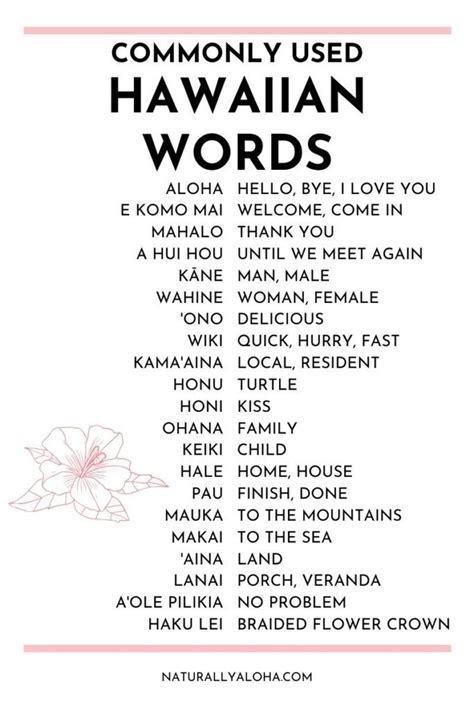 a pocket guide to the hawaiian language things hawaiian Epub