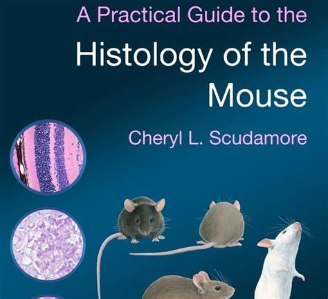 a practical guide to the histology of the mouse PDF