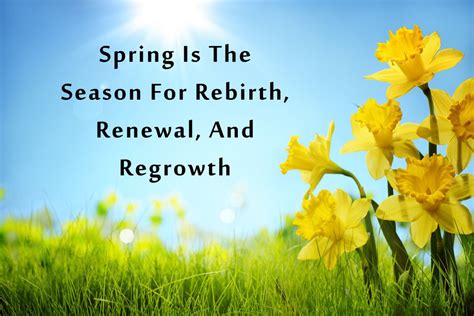 a season for rebirth a season for rebirth Reader