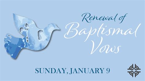 a short explanation of the baptismal vow Epub