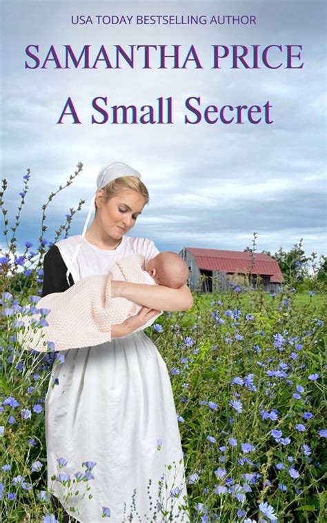 a small secret amish romance secrets volume 3 Reader