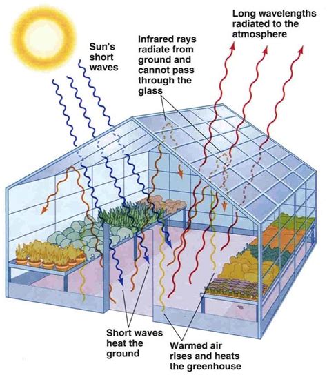 a solar adapted greenhouse manual and design Epub