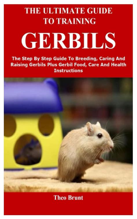 a step by step book about gerbils Reader