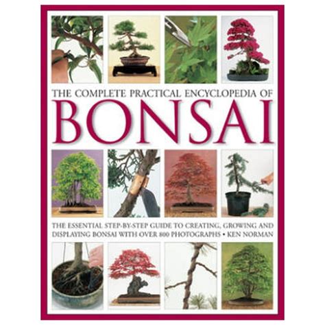 a step by step guide to growing and displaying bonsai Doc