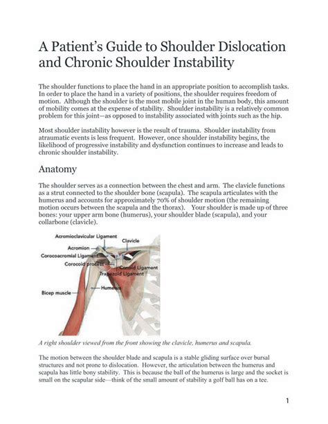 a surgeons guide to shoulder mobi Reader