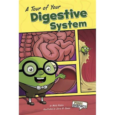 a tour of your digestive system first graphics body systems Reader