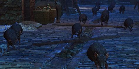 A Towerful Of Rats Walkthrough