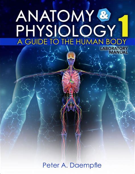 a visual analogy guide to human anatomy and physiology Kindle Editon
