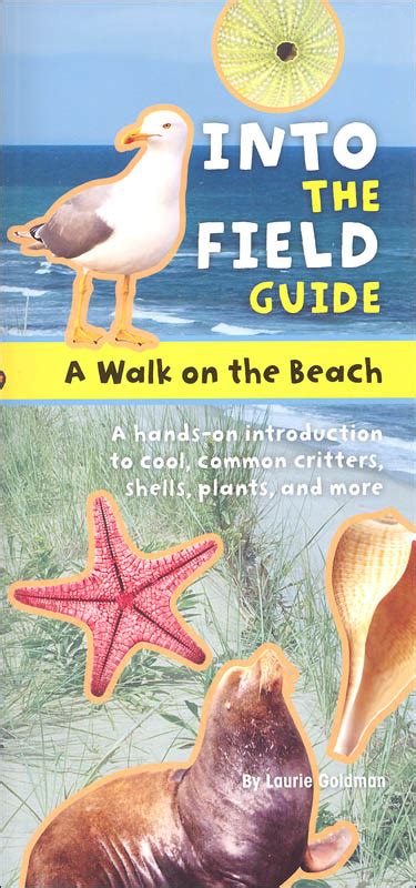 a walk on the beach into the field guide Epub
