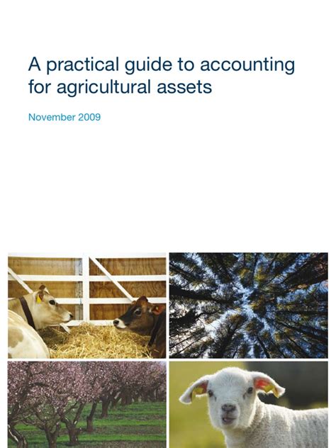 a-practical-guide-to-accounting-for-agricultural-assets Ebook Reader
