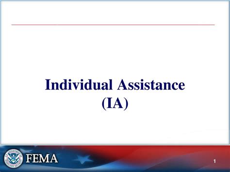 a. Individual Assistance: