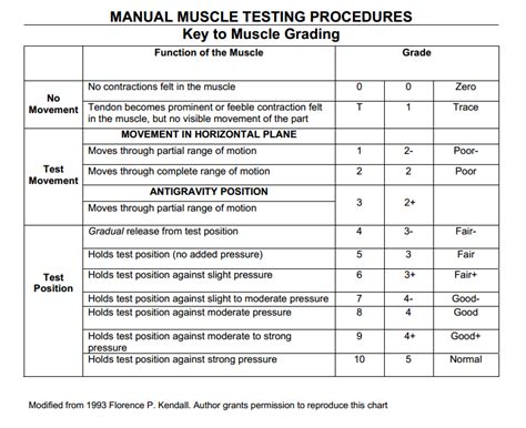 abdominal manual muscle testing Doc
