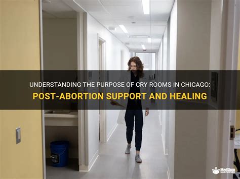 abortion and healing a cry to be whole PDF