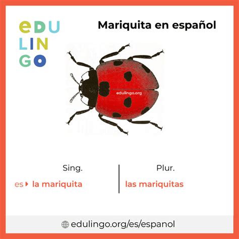 abrazo mariquita espanol espanol spanish PDF