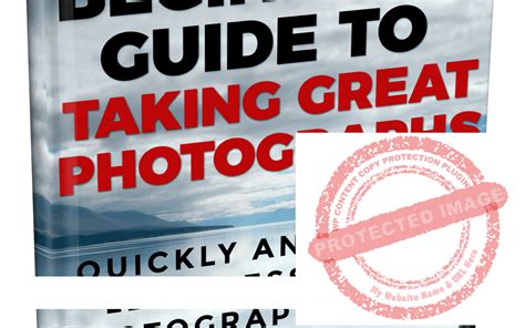 absolute beginners guide to taking great photos Epub