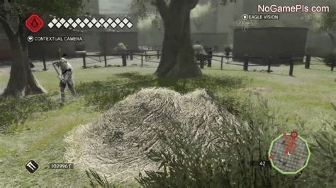 Ac2 Hitting The Hay Walkthrough