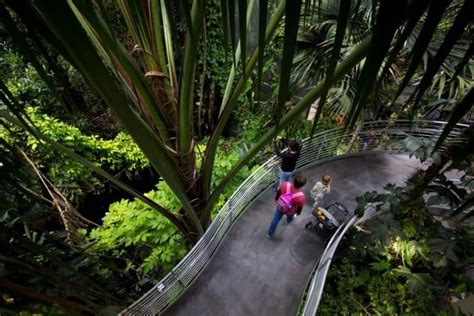 academy of sciences free day PDF