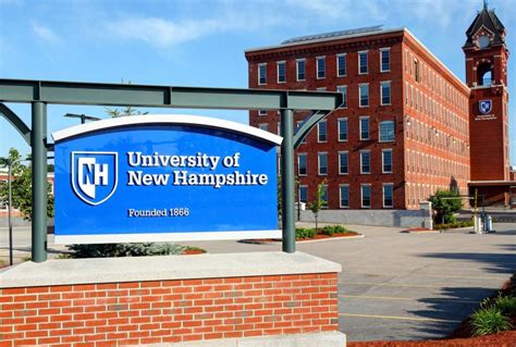 acceptance rate university of new haven