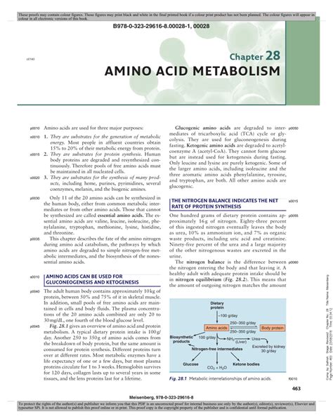 acidic amino acids novel pdf Doc