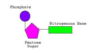 acids and bases biology junction answers Reader