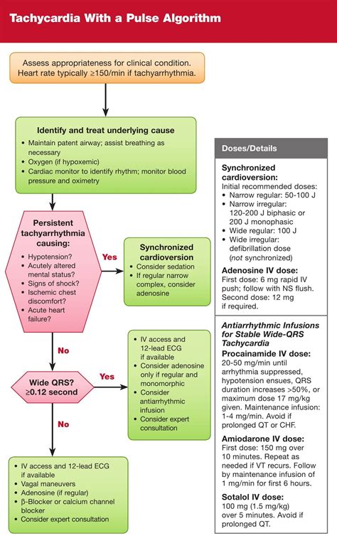 acls cheat study 2013 Doc