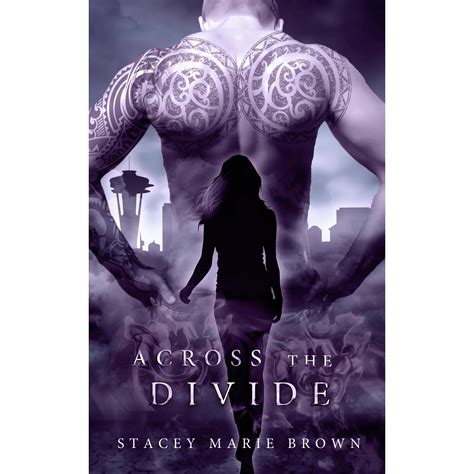 across the divide collector series book 3 PDF