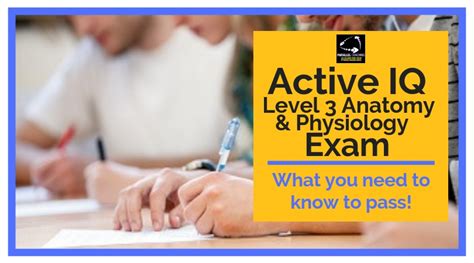 active iq personal training mock exam questions Ebook Doc