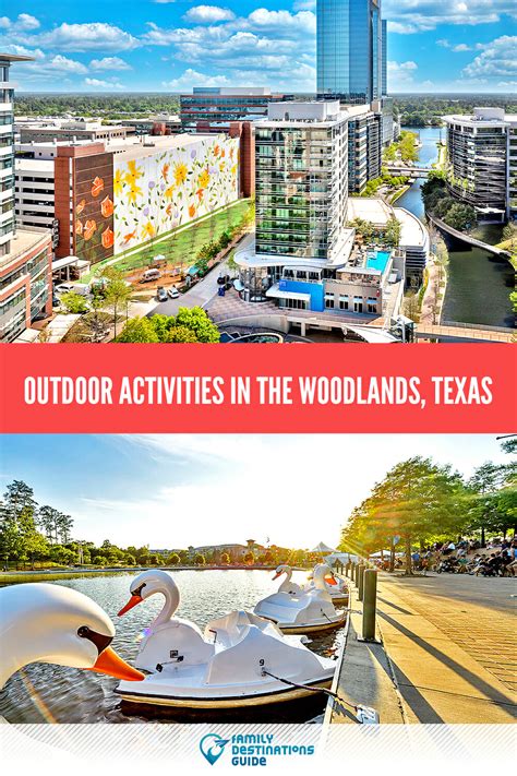 activities in the woodlands tx