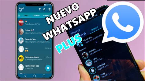 actualizar whatsapp plus