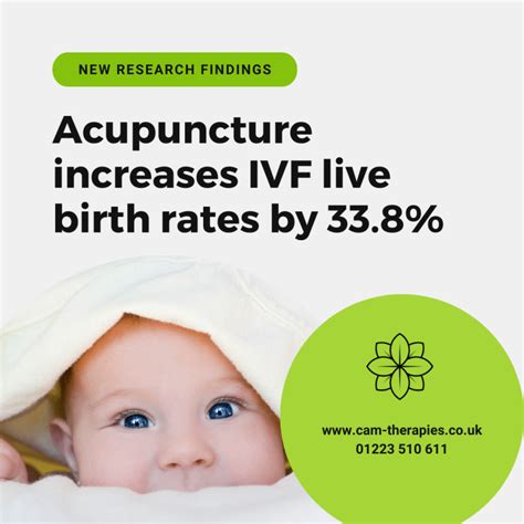acupuncture and ivf increase ivf success by 40 60percent Doc
