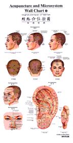 acupuncture and microsystem wall chartenglish chinese Doc