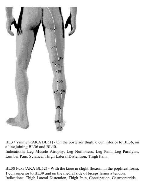 acupuncture meridian point locations atlas Kindle Editon