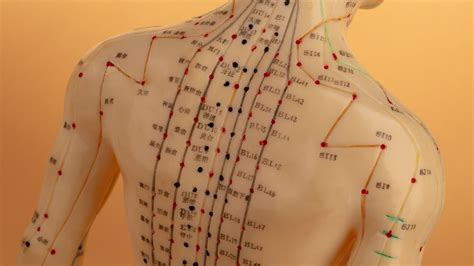 acupuncture points images and functions Reader