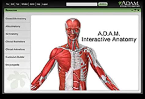 adam interactive anatomy answers PDF