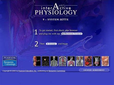 adam interactive physiology respiratory system answers PDF