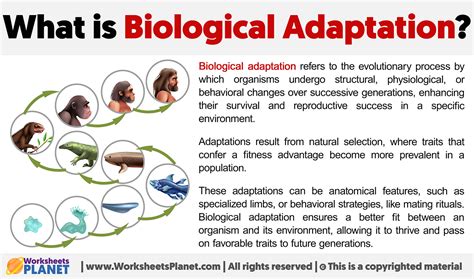 adaptation biology and medicine adaptation biology and medicine Doc