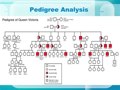 addam family pedigree analysis genetics Kindle Editon