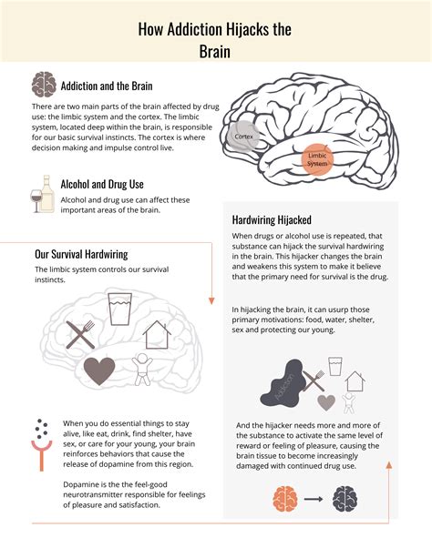 addiction and brain damage full summary PDF
