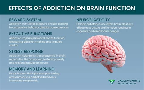 addiction and brain damage full summary PDF