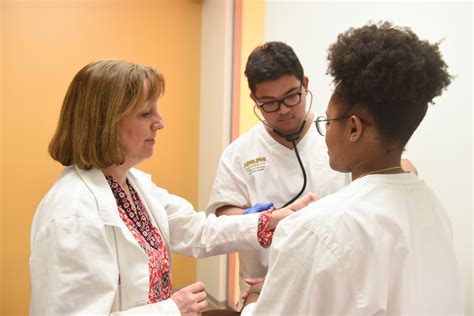 adelphi university nursing program