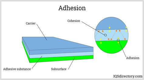 adhesion and adhesives adhesion and adhesives Kindle Editon