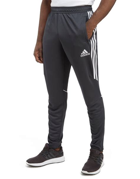 adidas pants male