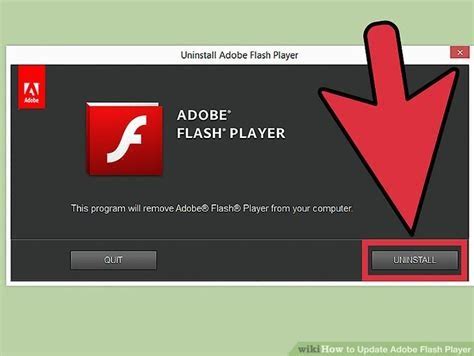 adobe flash player manual download Kindle Editon